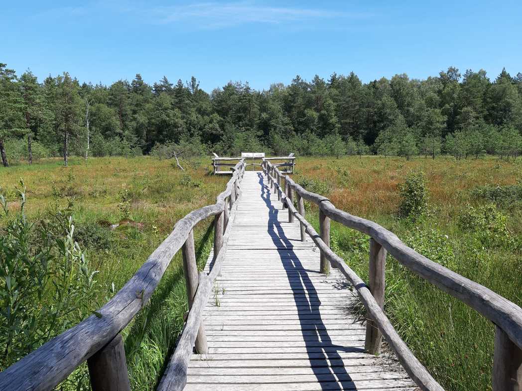 Foto Herbert Schmid